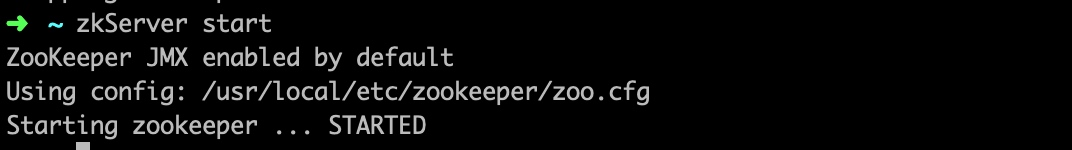 启动 Zookeeper 服务器